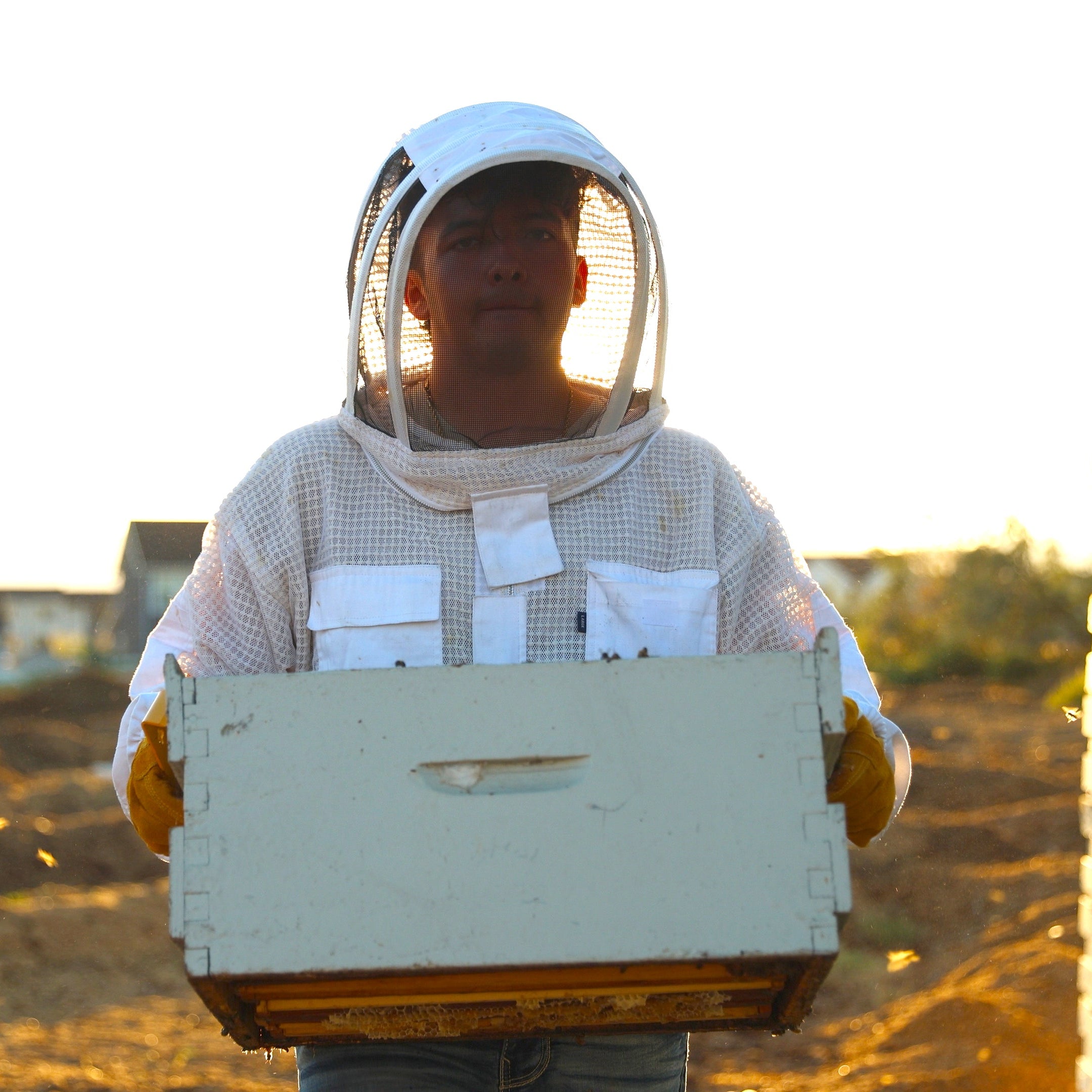 Young beekeeper holding a honey super in the field