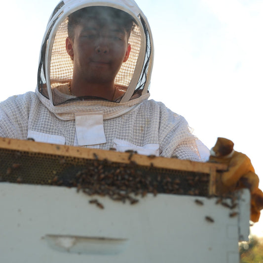 Young beekeeper holding a honeycomb frame with bees.