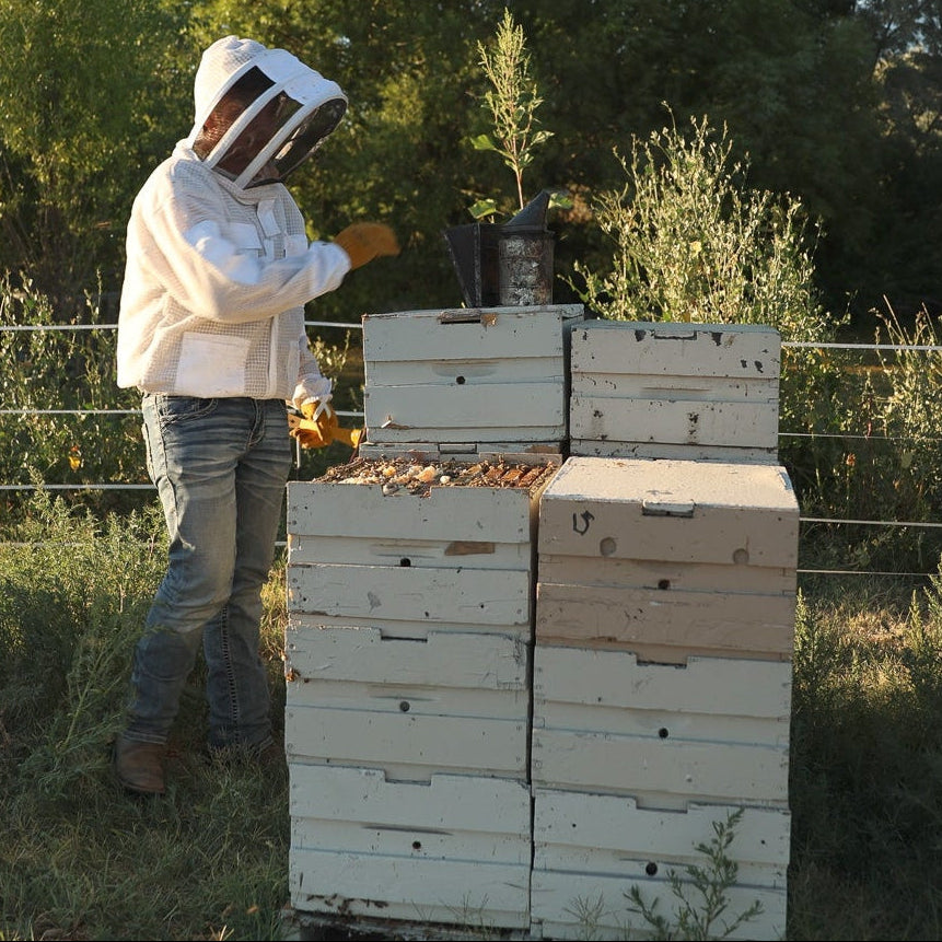 Young Beekeeper working with beehives outdoors.