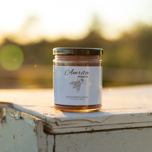 Spiced mulberry raw honey jar, cold-extracted and unfiltered, crafted in Utah